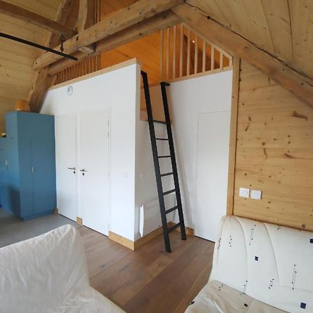 אנסי Logement Entre Lac Et Montagne מראה חיצוני תמונה